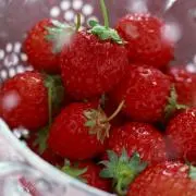 花（プロフを一読して下さい）の画像