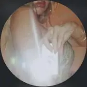 ✴︎の画像