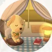 Liiの画像