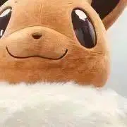 たまむしの画像