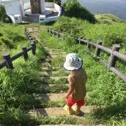 なつの画像