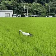 令和トンネルの画像