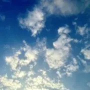 せなの画像