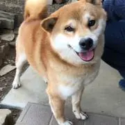 まーたろうの画像