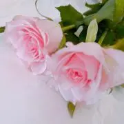 ★のんびり断捨離中★