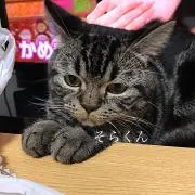ひろみ