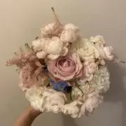 おしゅわの画像