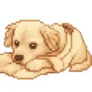かにたまの画像