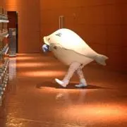 しましま