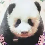 junjun ⭐️の画像