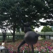Mii プロフご確認下さいm(_ _)mの画像