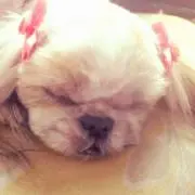 ★まろん★