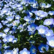 ききらら★断捨離中！の画像