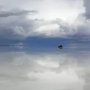 いちごの画像