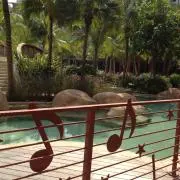 ショコラの画像