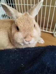 ヒロの画像