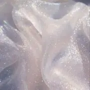 おにぎりの画像