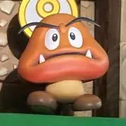 ありの画像