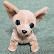 こぼの画像