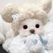 ᙆƶ♥の画像