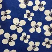 ひこちゅう☆