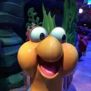 ミヤーの画像