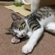 りょうたろう