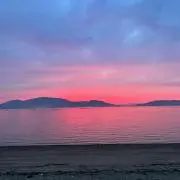 青