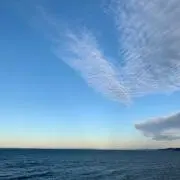 jaの画像