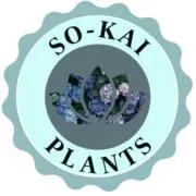 SO-KAI_PLANTSの画像