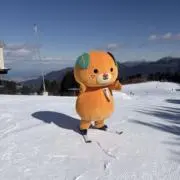 赤赤先の画像