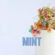 MINTの画像