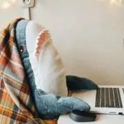 れの画像