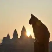 juneの画像
