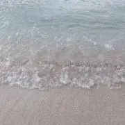 みの画像