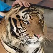 じゅんじゅんの画像