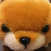 あきと
