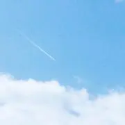 やまもこの画像