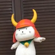 Image of くーま
