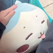 ユウキの画像