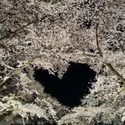 北徳丸の画像