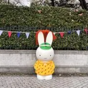 chicoの画像