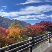 断捨離マンの画像