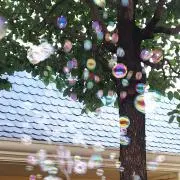 ichigo15の画像