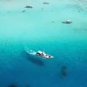 ViViの画像
