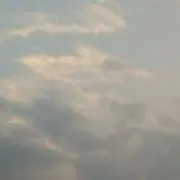 蜂蜜の画像