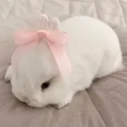 ♡の画像