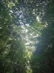 みみの画像
