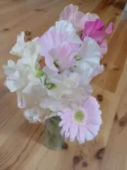 oimoの画像