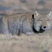 noise